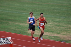 Enlarge photo 134