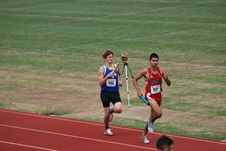 Enlarge photo 136