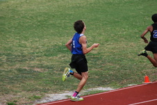 Enlarge photo 142
