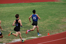 Enlarge photo 169