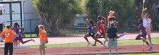 Enlarge photo 433