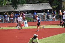 Enlarge photo 455