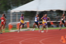 Enlarge photo 627