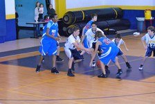 Enlarge photo 146