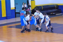 Enlarge photo 147