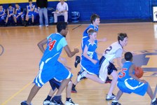Enlarge photo 153