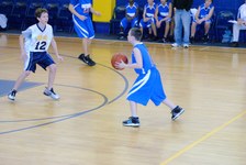Enlarge photo 169