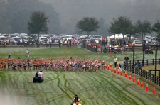 Enlarge photo 36