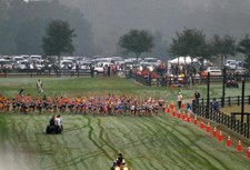 Enlarge photo 37