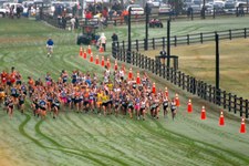 Enlarge photo 38
