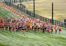 Enlarge photo 39