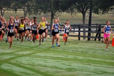 Enlarge photo 49