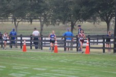 Enlarge photo 93
