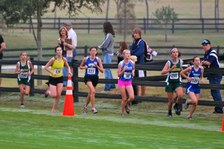 Enlarge photo 110