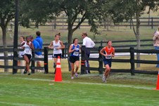 Enlarge photo 137