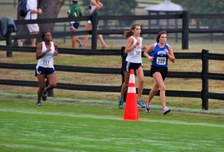 Enlarge photo 138