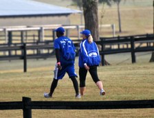 Enlarge photo 152