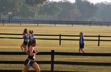 Enlarge photo 158