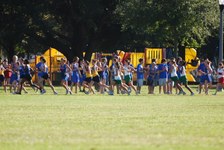 Enlarge photo 215