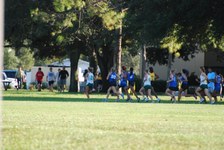 Enlarge photo 223