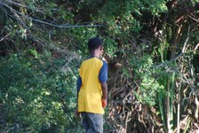 Enlarge photo 462