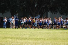 Enlarge photo 878