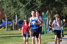 Enlarge photo 171