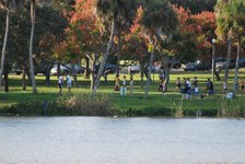Enlarge photo 232