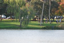 Enlarge photo 233