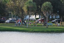 Enlarge photo 235