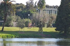 Enlarge photo 239