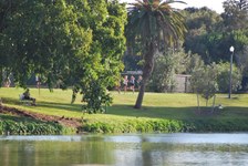 Enlarge photo 240