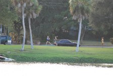 Enlarge photo 262