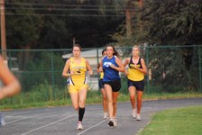 Enlarge photo 174