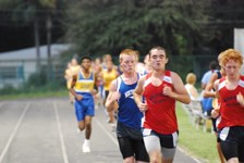 Enlarge photo 491