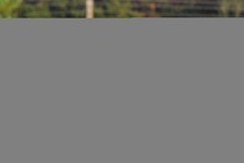 Enlarge photo 940