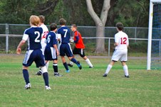 Enlarge photo 54