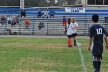Enlarge photo 55