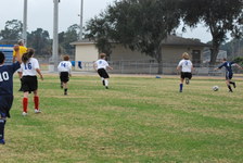 Enlarge photo 57