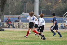Enlarge photo 64