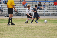 Enlarge photo 80