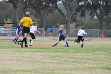 Enlarge photo 111