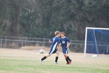 Enlarge photo 113