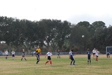 Enlarge photo 114