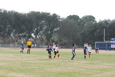 Enlarge photo 115