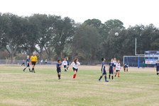 Enlarge photo 116