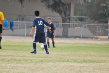 Enlarge photo 122