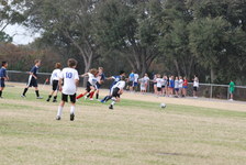 Enlarge photo 127