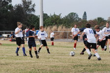 Enlarge photo 130