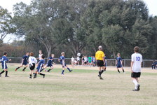 Enlarge photo 132